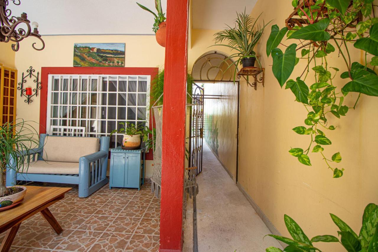 La Casa Del Almendro 호텔 신데 델 카르멘 외부 사진